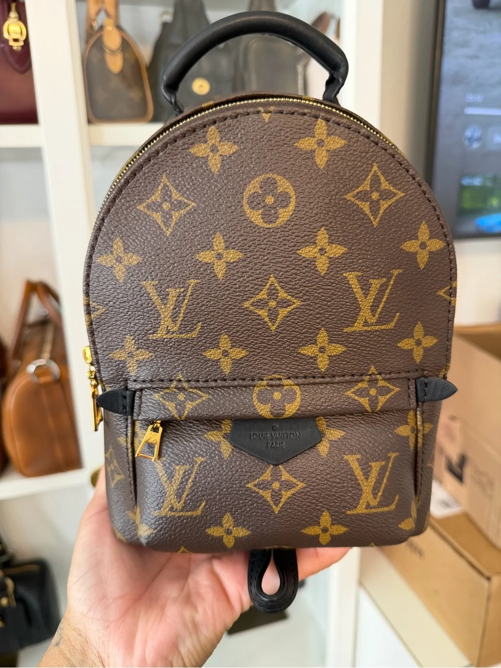 Louis Vuitton Monogram Canvas Palm Springs Mini Backpack